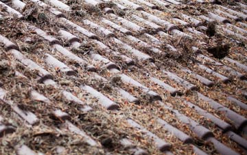 Postwick roof cleaning companies